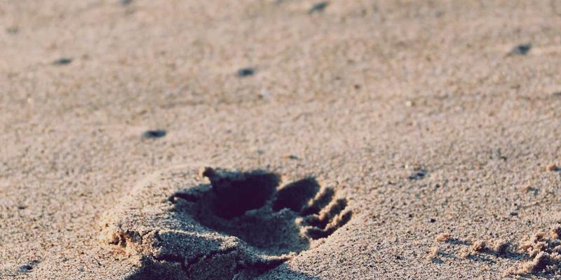 巴厘岛冲浪入门全攻略：库塔海滩教练选择、浪点解析与装备租赁指南