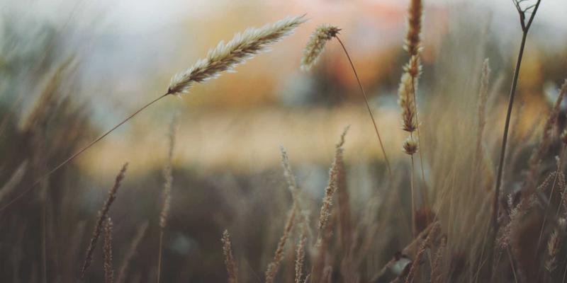 旅游攻略21：解锁高效旅行规划，从景点推荐到深度体验的全指南