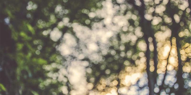 旅游攻略是什么？从齐齐旅游视角，解锁高效旅行指南的奥秘