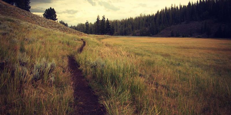 日本关西红叶季深度游攻略：京都岚山、奈良公园赏枫与温泉旅馆体验指南