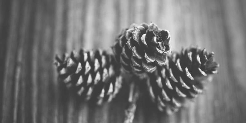 自由行全攻略：解锁齐齐旅游的深度体验与高效规划