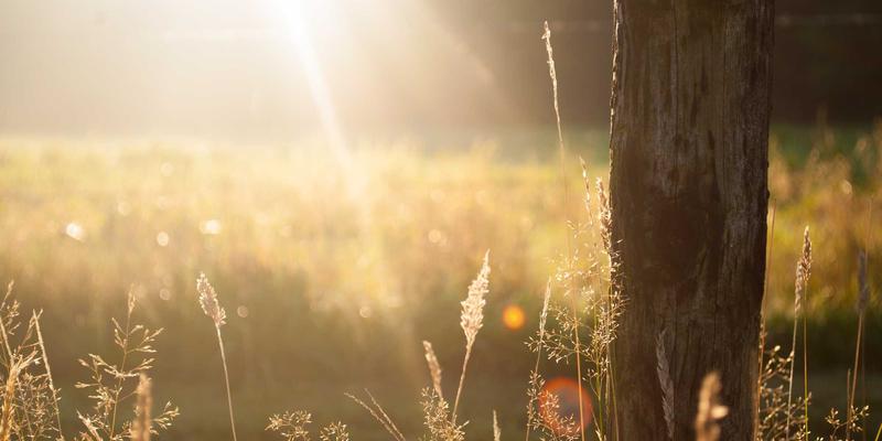 自由行全攻略：跟着齐齐旅游，解锁必去景点与深度体验