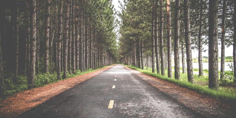 葡萄牙里斯本复古电车旅行指南：经典线路、拍照点位与车票购买全攻略