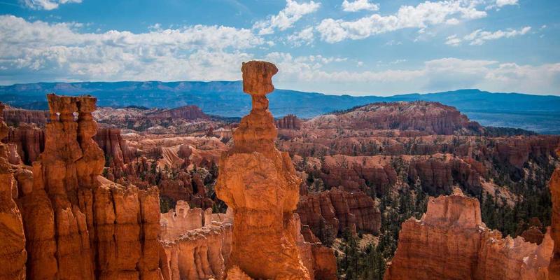 非洲Safari自由行入门：齐齐旅游带你探秘肯尼亚马赛马拉与坦桑尼亚塞伦盖蒂的动物大迁徙