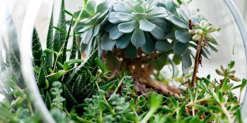 齐齐旅游全攻略：精选景点推荐与深度游玩指南